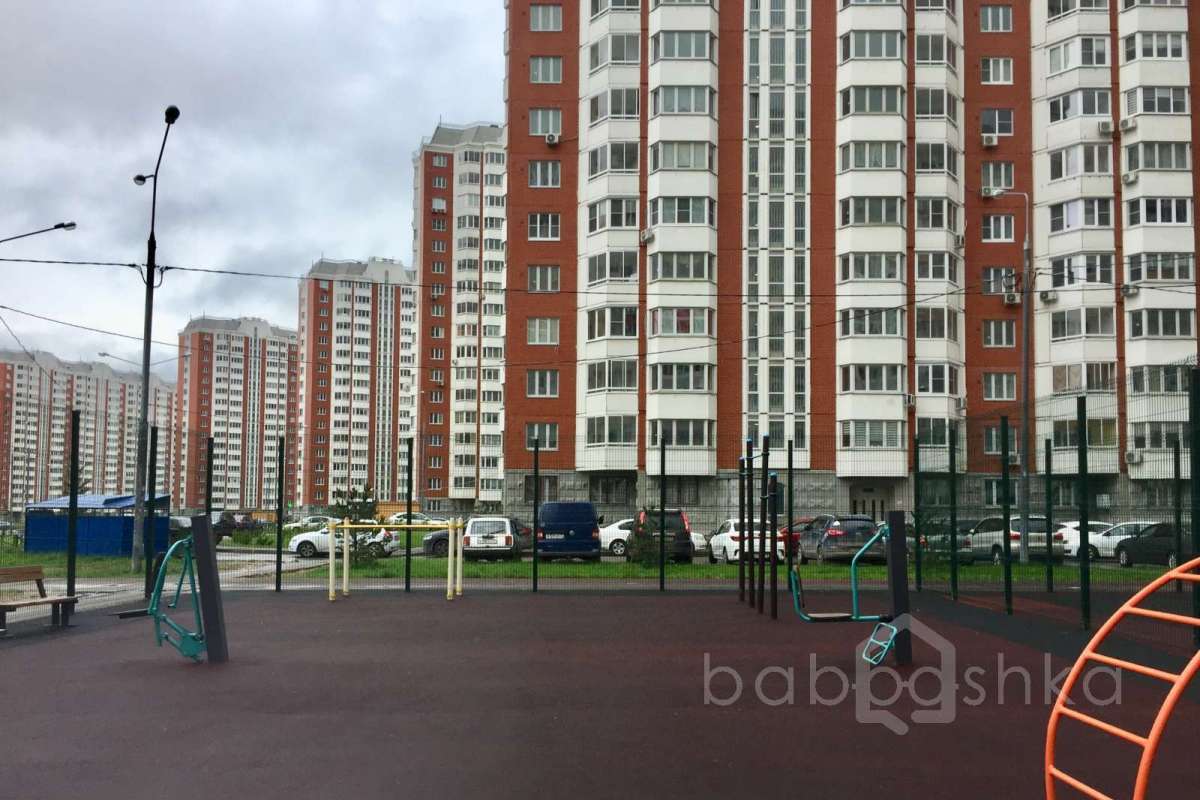 IMG_2237 территория 