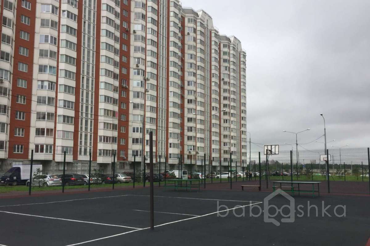 IMG_2240 территория 