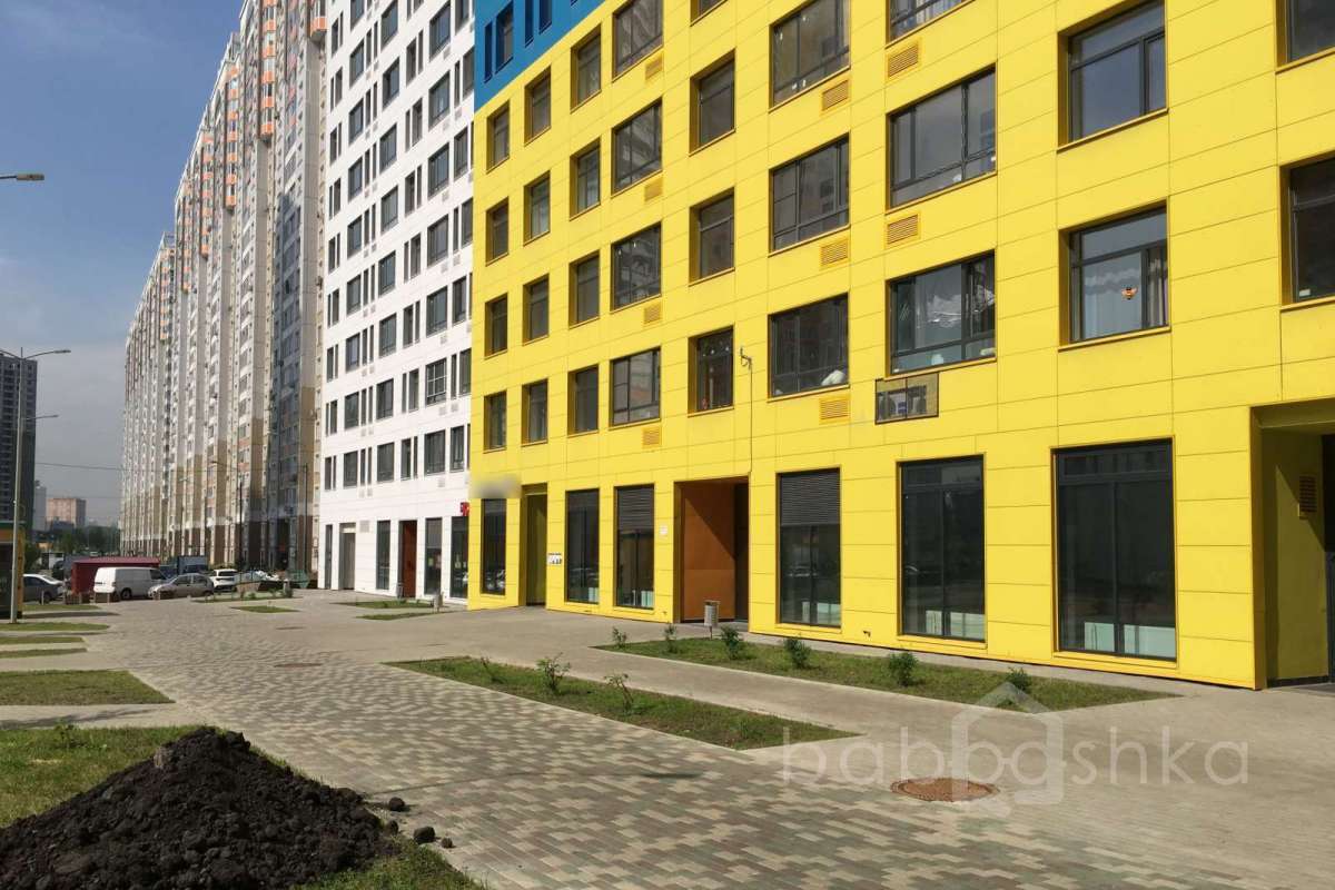 IMG_9906 территория 