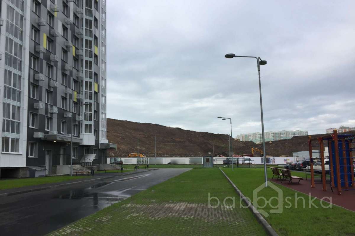 IMG_2281 территория 