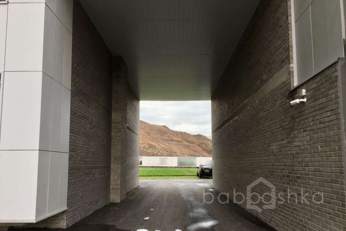 IMG_2286 территория 