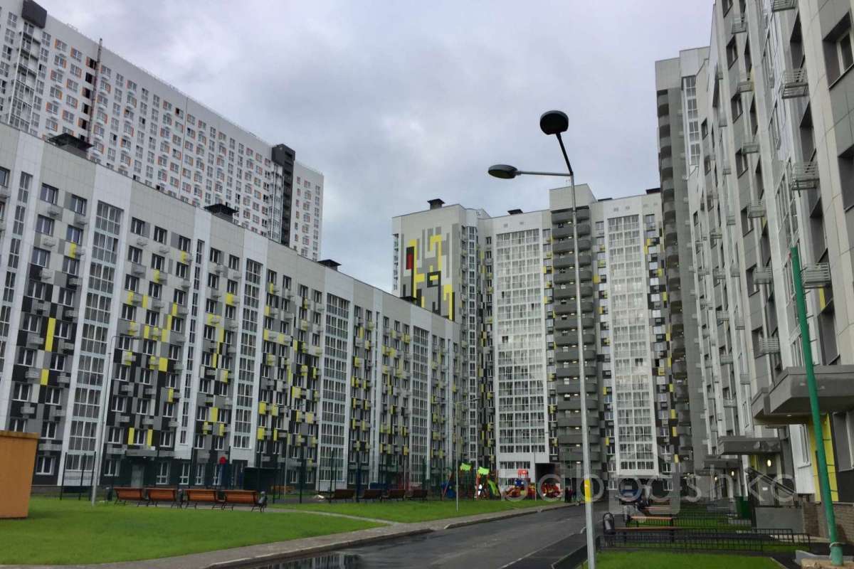 IMG_2292 территория 