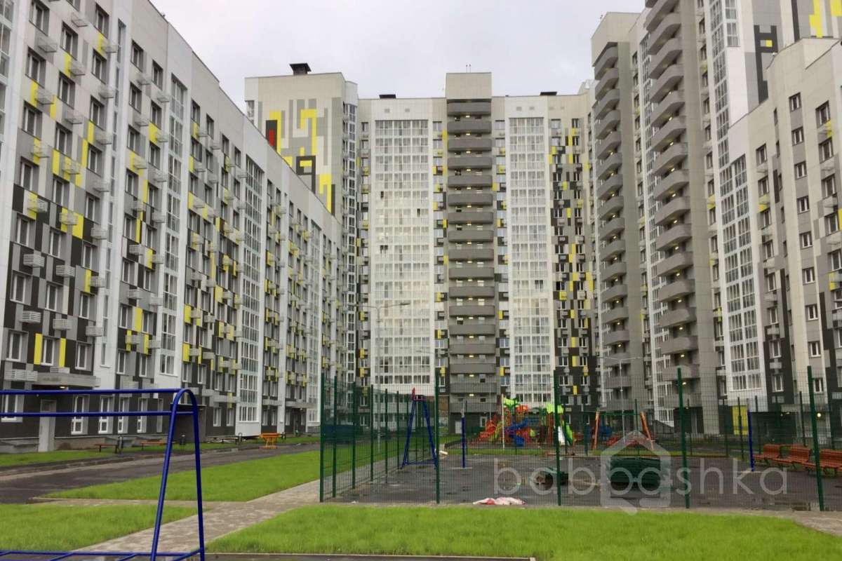 IMG_2290 территория 