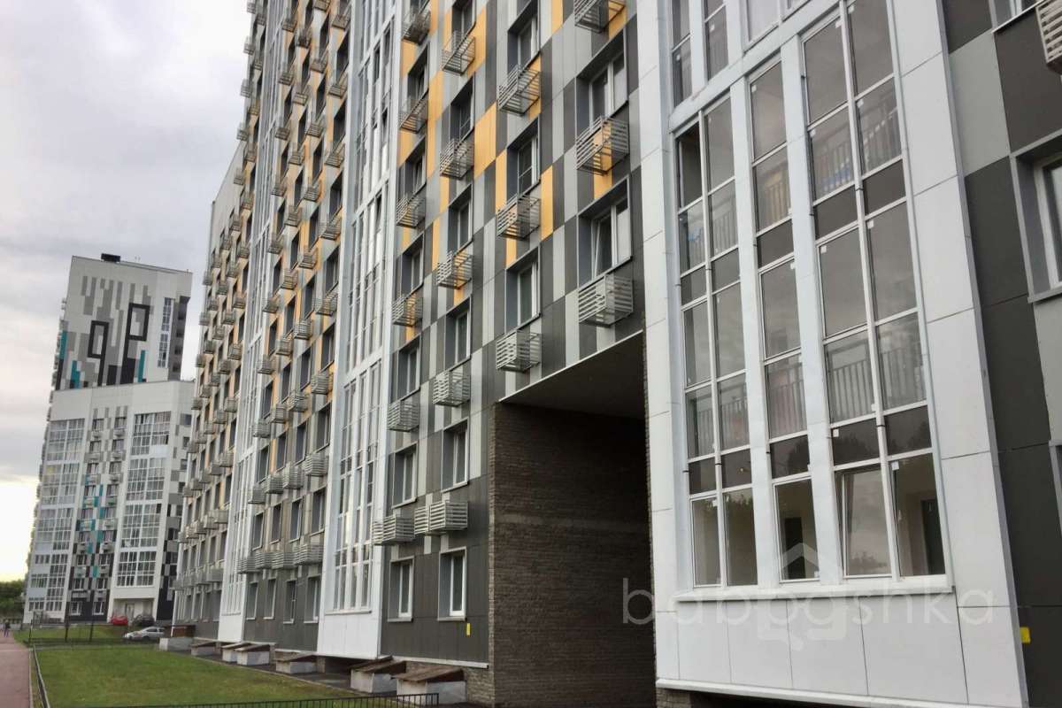 IMG_2296 территория 