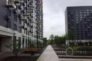 IMG_2207 территория Съёмки Москва