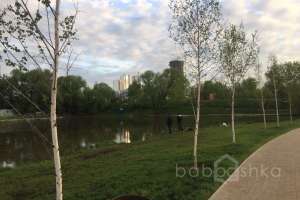 a2e2fdb2-ad06-467d-a48c-ae9e15a3adbc территория Съёмки Москва