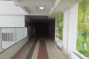 IMG_1534 школы Съёмки Москва