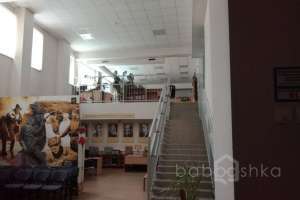 IMG_1535 школы Съёмки Москва