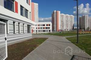 IMG_20180822_141806 школы Съёмки Москва