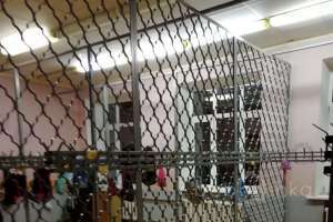 e4b70727-6331-40d7-a7dc-c5e6b2354f6f школы Съёмки Москва