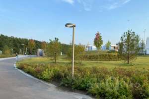 IMG_3749 парки Съёмки Москва