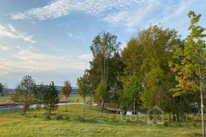 IMG_3768 парки Съёмки Москва