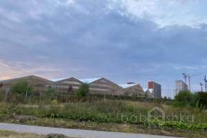 IMG_3772 парки Съёмки Москва