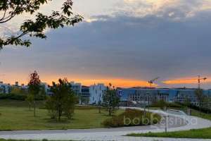 IMG_3782 парки Съёмки Москва