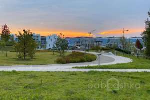 IMG_3781 парки Съёмки Москва