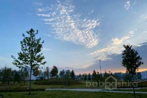 IMG_3784 парки Съёмки Москва