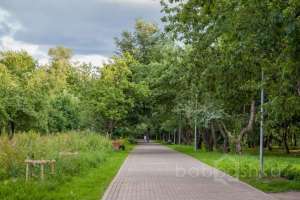 IMG_2367 парки Съёмки Москва