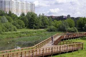 IMG_2376 парки Съёмки Москва