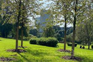 IMG_3825 парки Съёмки Москва