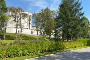 IMG_3827 парки Съёмки Москва