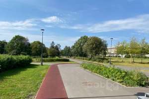 IMG_3831 парки Съёмки Москва