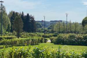 IMG_3836 парки Съёмки Москва