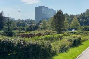 IMG_3834 парки Съёмки Москва