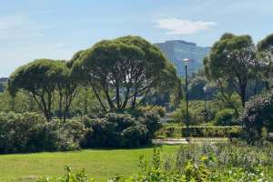 IMG_3837 парки Съёмки Москва