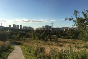 IMG_2706 парки Съёмки Москва