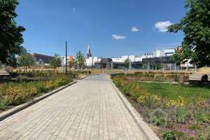 IMG_2388 парки Съёмки Москва