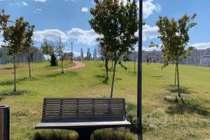 IMG_2394 парки Съёмки Москва