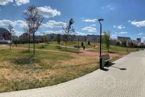 IMG_2393 парки Съёмки Москва