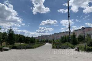 IMG_2401 парки Съёмки Москва