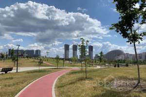 IMG_2406 парки Съёмки Москва