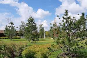 IMG_1778 парки Съёмки Москва