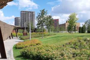 IMG_1780 парки Съёмки Москва