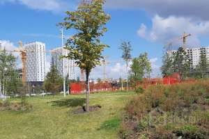 IMG_1782 парки Съёмки Москва