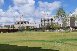 IMG_1783 парки Съёмки Москва