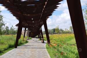 IMG_1786 парки Съёмки Москва