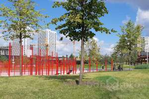 IMG_1785 парки Съёмки Москва