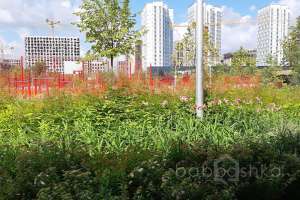 IMG_1788 парки Съёмки Москва