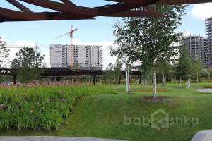 IMG_1803 парки Съёмки Москва