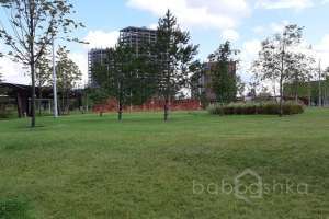 IMG_1806 парки Съёмки Москва