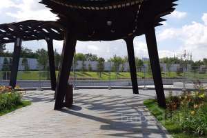 IMG_1813 парки Съёмки Москва