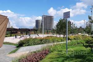 IMG_1818 парки Съёмки Москва