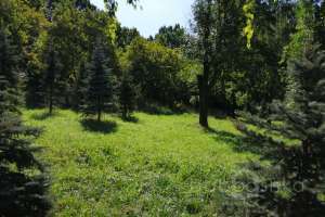 PHOTO-2020-08-22-11-32-34%20(1) парки Съёмки Москва