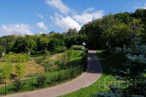 PHOTO-2020-08-22-11-32-34 парки Съёмки Москва