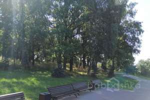 PHOTO-2020-08-22-11-32-35%20(1) парки Съёмки Москва