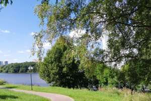 PHOTO-2020-08-22-11-32-35 парки Съёмки Москва