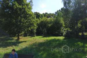 PHOTO-2020-08-22-11-32-36 парки Съёмки Москва